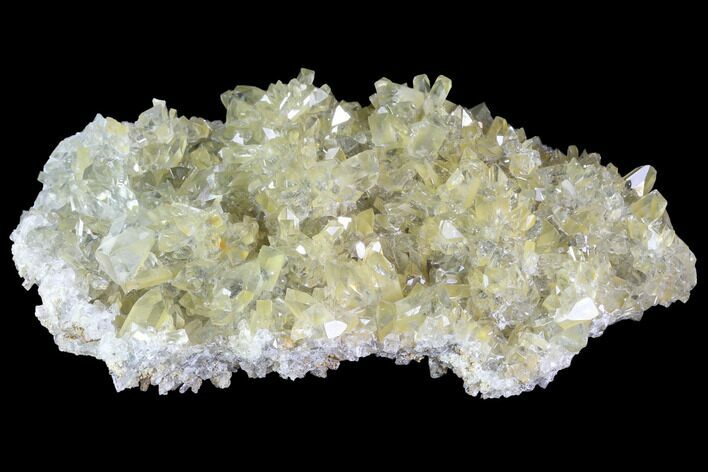 Plate Of Gemmy, Chisel Tipped Barite Crystals - Mexico #84424